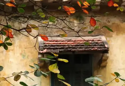 Local guide leading travelers on a private Hanoi Old Quarter Walking Tour in Hanoi